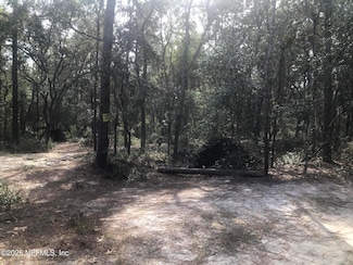 105 Nevada Dr, Satsuma, FL 32189