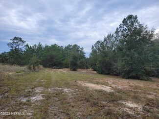 0 Cherry Dr Unit 1200754, Pomona Park, FL 32181