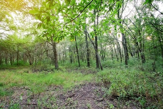 16611-Lot 77 Noble St, Cedar Creek Township, IN 46356