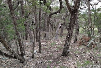 0 Marlys Ave Unit 1690085, Canyon Lake, TX 78133