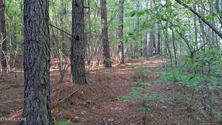 0, Rockwood, TN 37854