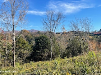 0 Mountain Ridge Rd, Newport, TN 37821