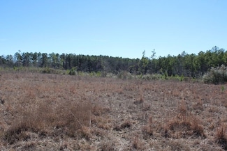 0 Ferguson Rd Unit LotWP002, Silver Creek, MS 39663