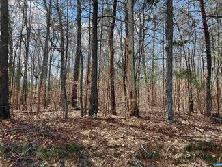 0 Rising Sun Rd Unit 651104, Palmyra, VA 22963