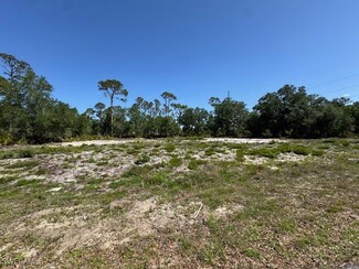 21084 Dearman Ave, Port Charlotte, FL 33954