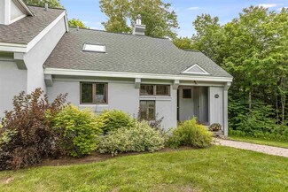 43 Styles Branch Rd Unit 1006, Stratton, VT 05360