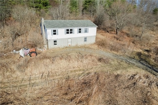 351 Monkey Run Rd, Elmira, NY 14901