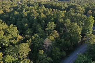 000 Riverview Ln, Mount Ida, AR 71957
