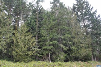 9999 S Eldridge Rd, Sequim, WA 98382