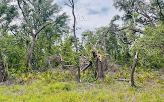 LOT74 22nd Ave, Jasper, FL 32052