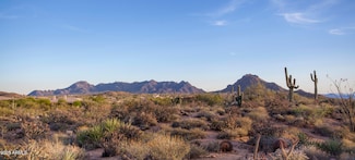 28787 N 114th St Unit N & P, Scottsdale, AZ 85262