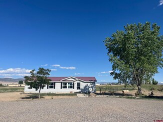 7530 6075 Rd, Olathe, CO 81425