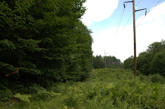 020 Canton Mountain Rd, Jay, ME 04239