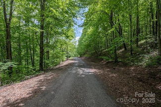 508 Slippery Rock Rd, Waynesville, NC 28785