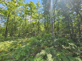 0 W Pinewood Blvd, Merrill Township, MI 49309