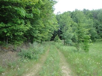 1341 Plum Valley Rd NW, Alden, MI 49612
