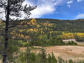 0 Silver Creek Rd Unit REC9057617, Idaho Springs, CO 80452