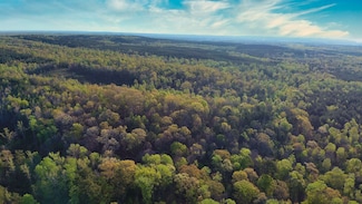 1 142 Hwy, Shiloh, TN 38376