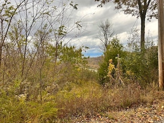 0 Schelley Rd, Gainesboro, TN 38562