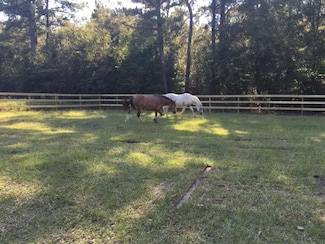 369 Groomsville Rd, Moncks Corner, SC 29461