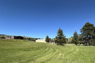 64 Valley Dr, Philipsburg, MT 59858