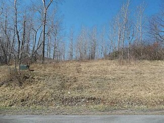 Lot #5 Rabbit Run, East Bloomfield, NY 14469