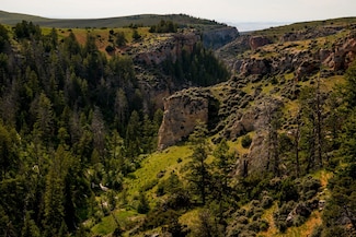 0 Tbd Unit 24989727, Shell, WY 82441