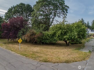 312 2nd St, Roy, WA 98580