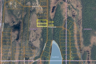 21106 S Sunshine St, Trapper Creek, AK 99683
