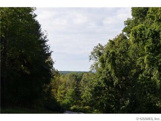 0 Partridge Corners Rd Unit R294303, Conesus, NY 14435