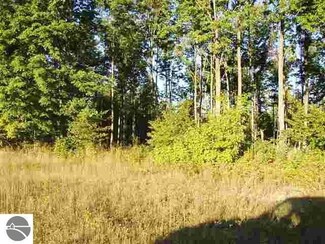 0000 Hager Rd, Fife Lake, MI 49633