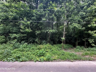 945 McCubbins Rd, Strawberry Plains, TN 37871