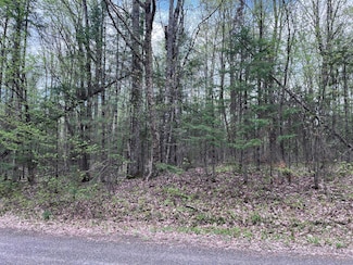 Off Moonshine Valley Rd Unit Lot 14, Presque Isle, WI 54512