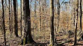 00 Lee Road 215, La Grange, AR 72360