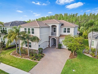 30900 Spruceberry Ct, Wesley Chapel, FL 33543
