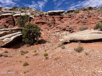 2345 W Ridgeview Ranch Dr, Snowflake, AZ 85937