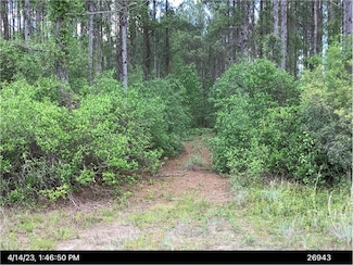 0 Inchachee Rd Unit 1654612, White Oak, GA 31568
