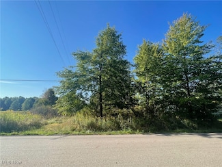 0 Smith Stewart Rd Unit 5071927, Vienna, OH 44473