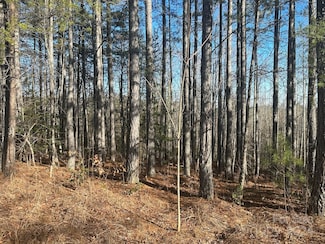 0000 Pine Cone Trail, Rutherfordton, NC 28139