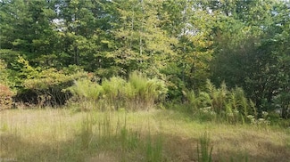 00 Duncan St, Stoneville, NC 27048