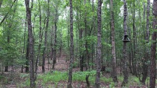 0 Buck Creek Dr, Dry Branch, GA 31020