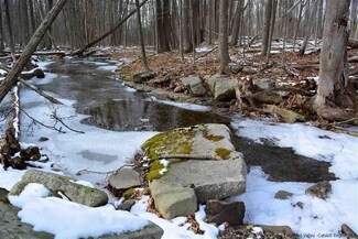 TBD Lower Granite Rd, Kerhonkson, NY 12446
