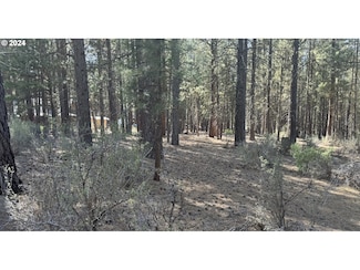 0 Waterview Way Unit 3 24207880, Chiloquin, OR 97624
