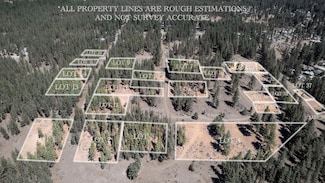 167 Otter Way, Portola, CA 96122