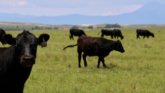 48999 County Road 48, Model, CO 81059