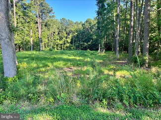 0 Crisfield Hwy Unit MDSO2003614, Crisfield, MD 21817