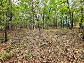 43 County Rd, Corning, AR 72422