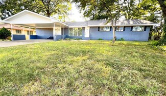 702 Trotter Ln, Dexter, MO 63841