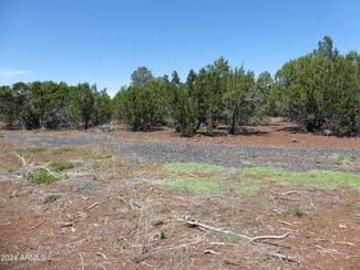 202 Acr 3158 -- Unit 125, Vernon, AZ 85940