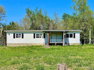 12678 Hyfield Rd, de Soto, MO 63020